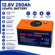 3200Wh LiFePO4 Lithium Battery 250Ah Solar Backup 12V - 4