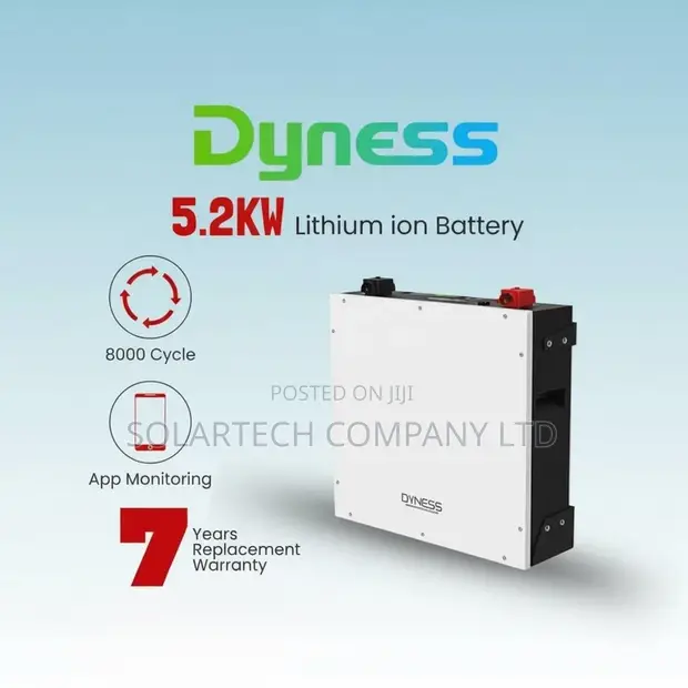 Dyness 5.2kWh 48V Lithium Battery | 8000 Cycles - 1