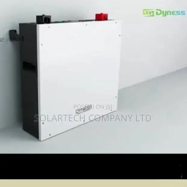 Original Dyness 5kWh 48V Battery - 1