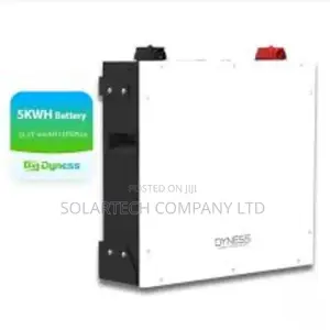 Reliable Dyness 100Ah 5kWh 48V Lithium Battery