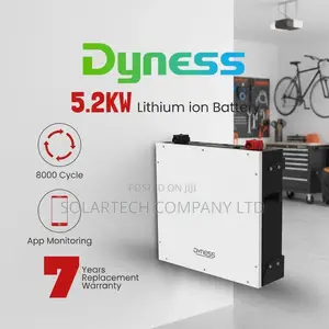 Dyness 5kWh 48V Lithium Battery