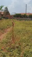Land for Sale - Seeta, Namilyango Road - 5