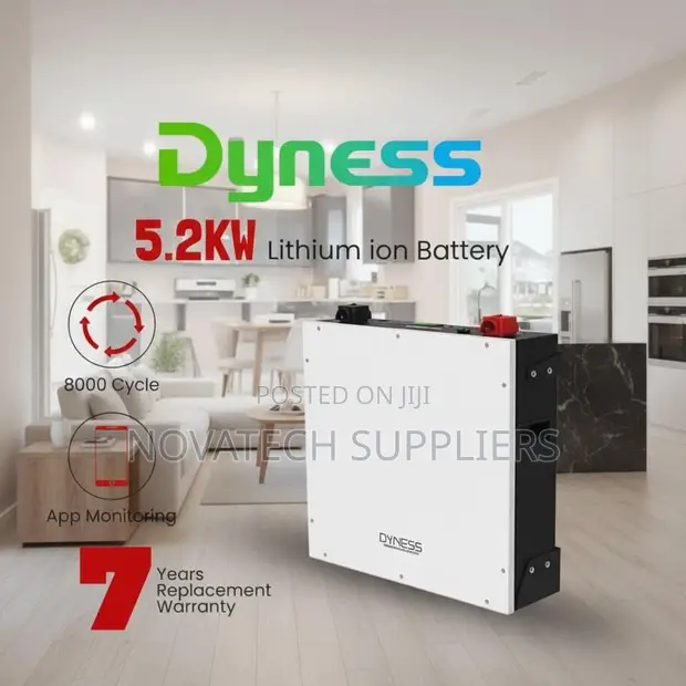 Dyness 5kWh 48V Lithium Battery | 8000 Cycles | 7-Year Warranty - 1