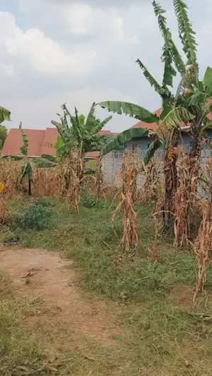 Land for Sale - Seeta, Bugoba (Bukerere Road)