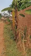 Land for Sale - Seeta, Bugoba (Bukerere Road) - 3
