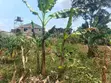Prime Residential Plots for Sale, Namugongo Joggo - 3