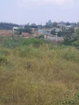 Land for Sale in Mpererwe, Buwambo Banda (50x100) - 1