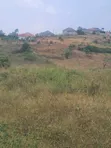 Titled Land for Sale in Buwambo - 1