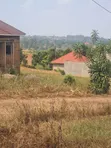 Land for Sale at Mpererwe Mukiti, Buwambo Road (50x100ft) - 2