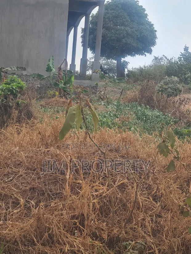 Land for Sale at Gayaza Nakwero - 50x100 - 1