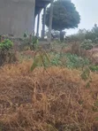 Land for Sale at Gayaza Nakwero - 50x100 - 1