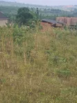 Land for Sale at Nateete, Nakawuka Road (50x100ft) - 1