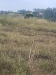 Land for Sale at Nateete, Nakawuka Road (50x100ft) - 2