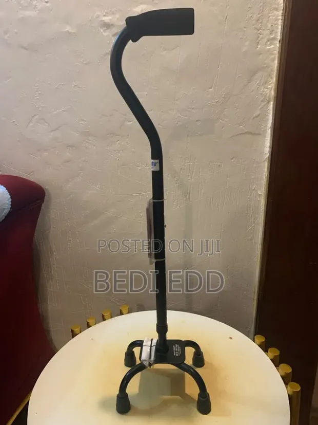 Adjustable Walking Stick - 1