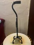 Adjustable Walking Stick - 1
