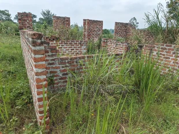 0.5 Acres Land for Sale in Kasamba, Bugaaki, Kyenjojo District - 1