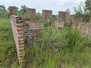 0.5 Acres Land for Sale in Kasamba, Bugaaki, Kyenjojo District