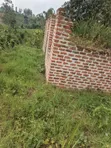0.5 Acres Land for Sale in Kasamba, Bugaaki, Kyenjojo District - 2