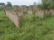 0.5 Acres Land for Sale in Kasamba, Bugaaki, Kyenjojo District - 3