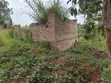 0.5 Acres Land for Sale in Kasamba, Bugaaki, Kyenjojo District - 5