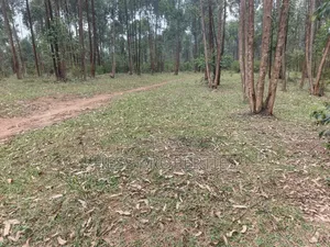 240 Acres Farmland for Sale in Kyenjojo-Rwetengye