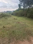 240 Acres Farmland for Sale in Kyenjojo-Rwetengye - 3