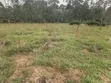 240 Acres Farmland for Sale in Kyenjojo-Rwetengye - 5