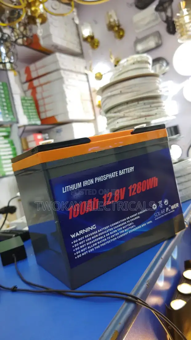 100AH Lithium Iron Phosphate Battery - 1
