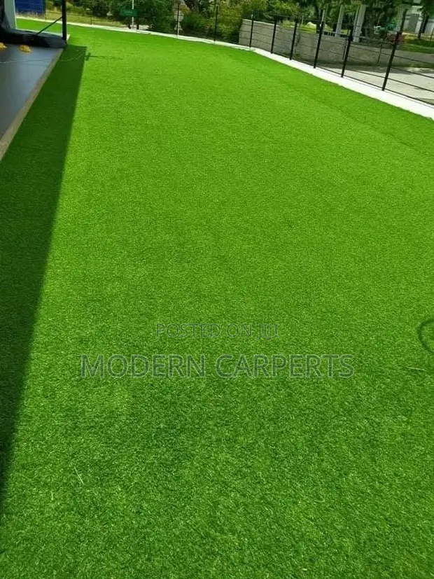 Toin Artificial Turf - 1