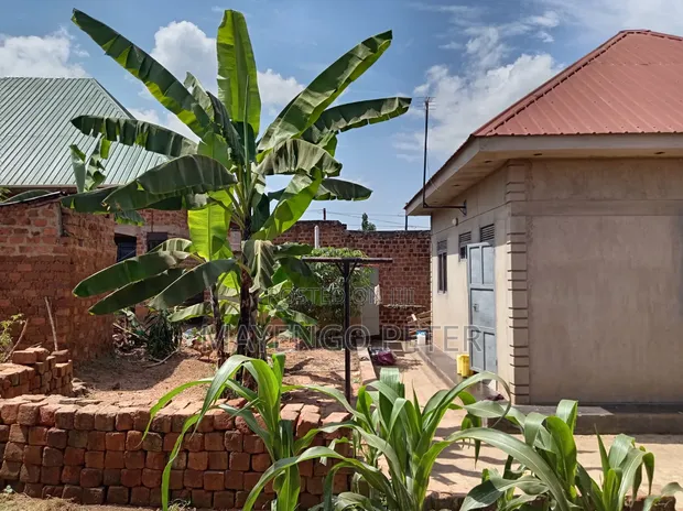 Furnished 2-Bedroom House for Sale in Nama, Mukono - 1