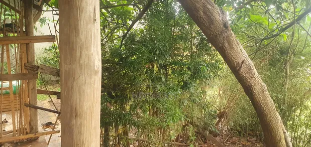 Bamba Kitagobya: 3 Units, Income Generating, Mailo Land - 1