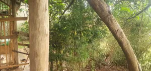 Bamba Kitagobya: 3 Units, Income Generating, Mailo Land