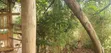 Bamba Kitagobya: 3 Units, Income Generating, Mailo Land - 1