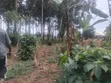 25 Decimals Plot in Busukuma for Sale - 3