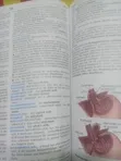 Dictionary of Medicine and Nursing - 2