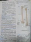 Dictionary of Medicine and Nursing - 3