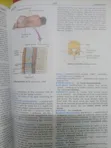 Dictionary of Medicine and Nursing - 4