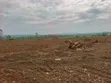 50x100 FTS Plots in Matuga Kavule - UGX 14M - 2