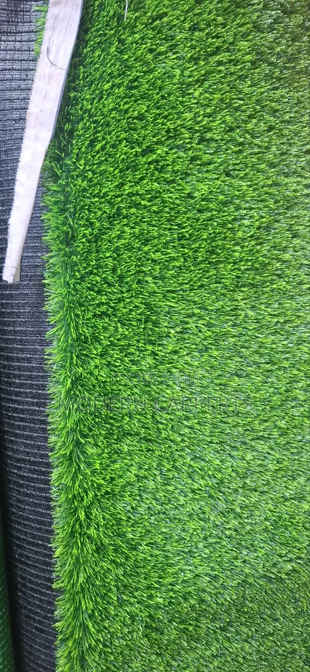 Wooly Artificial Turf - 1