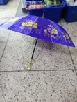 Floral Satin Umbrella - 3