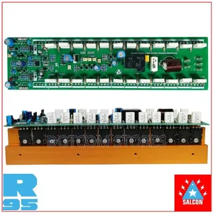 Salcon 2000W Mono Amplifier Board with Speaker Protection