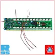 Salcon 2000W Mono Amplifier Board with Speaker Protection - 2