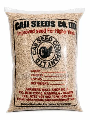 Super Upland Rice Seeds - 1kg