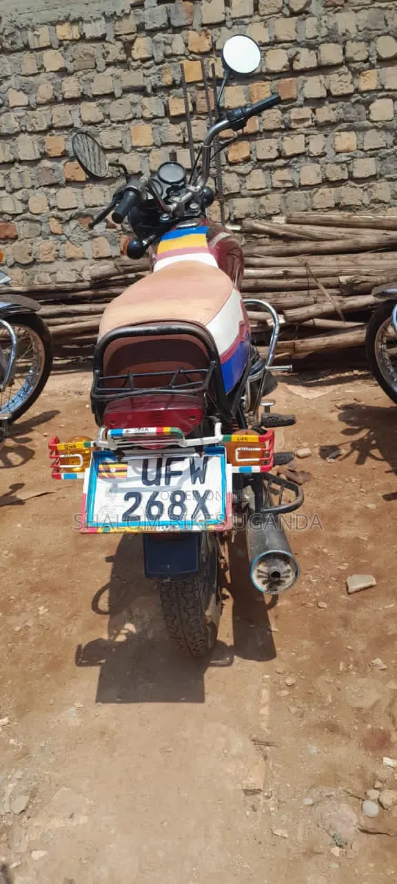 Bajaj Boxer 2024 Red - 1