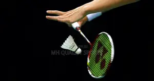 Yonex Badminton Shuttles (6 Pieces)