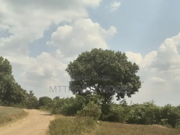6 Acres of Land for Sale in Katikamu, Bombo - 1