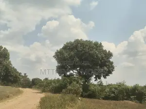 6 Acres of Land for Sale in Katikamu, Bombo
