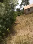 6 Acres of Land for Sale in Katikamu, Bombo - 4