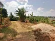 50x100 FTS Plot in Matuga Kavule - 3