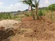 50x100 FTS Plot in Matuga Kavule - 5